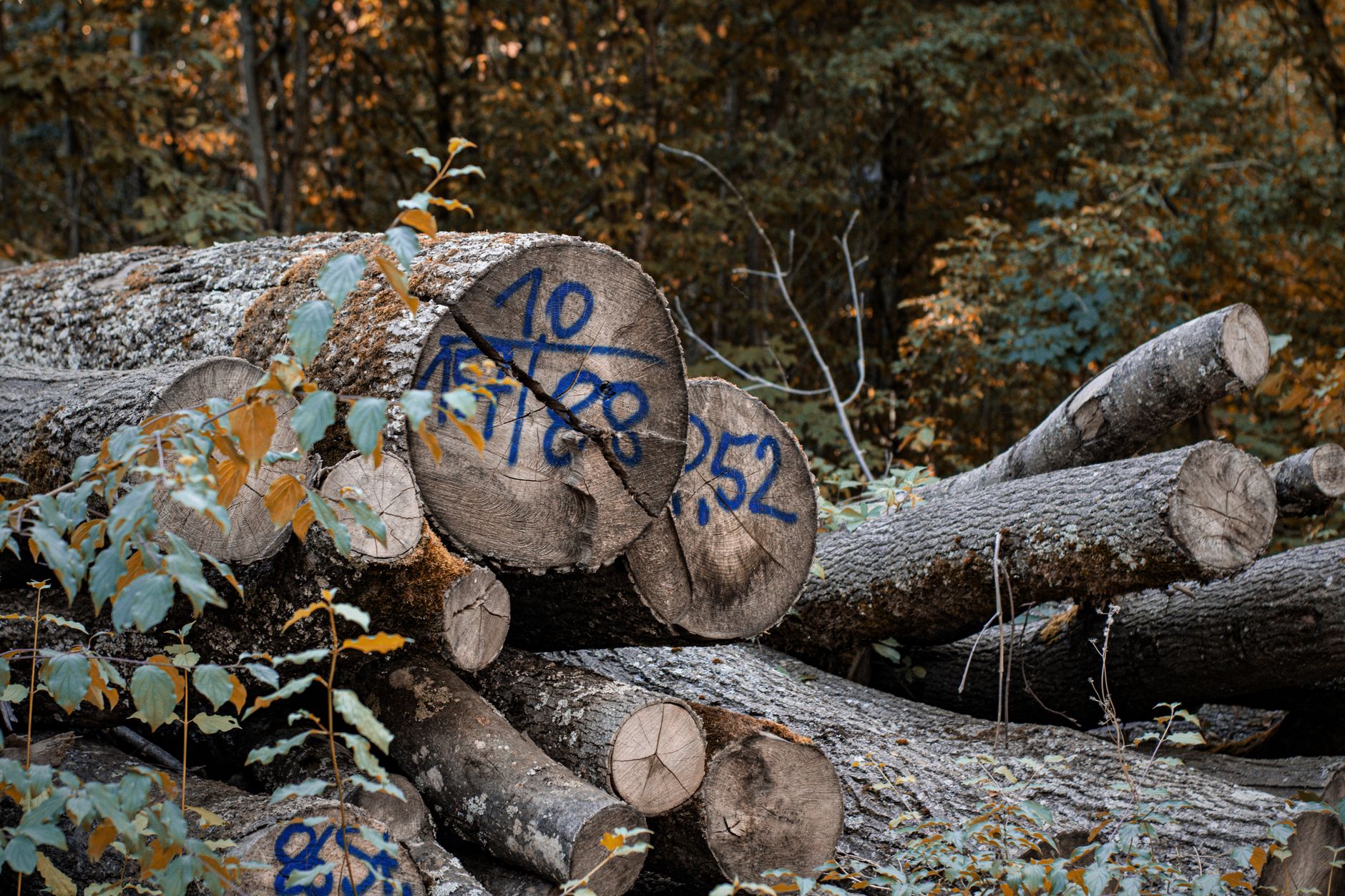 Master Linux Log Files: Uncover Hidden Insights